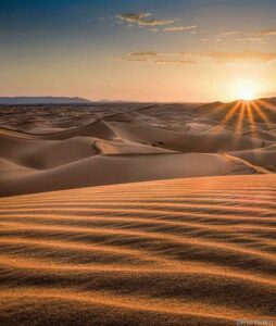 Sunrise and Return to Bikaner