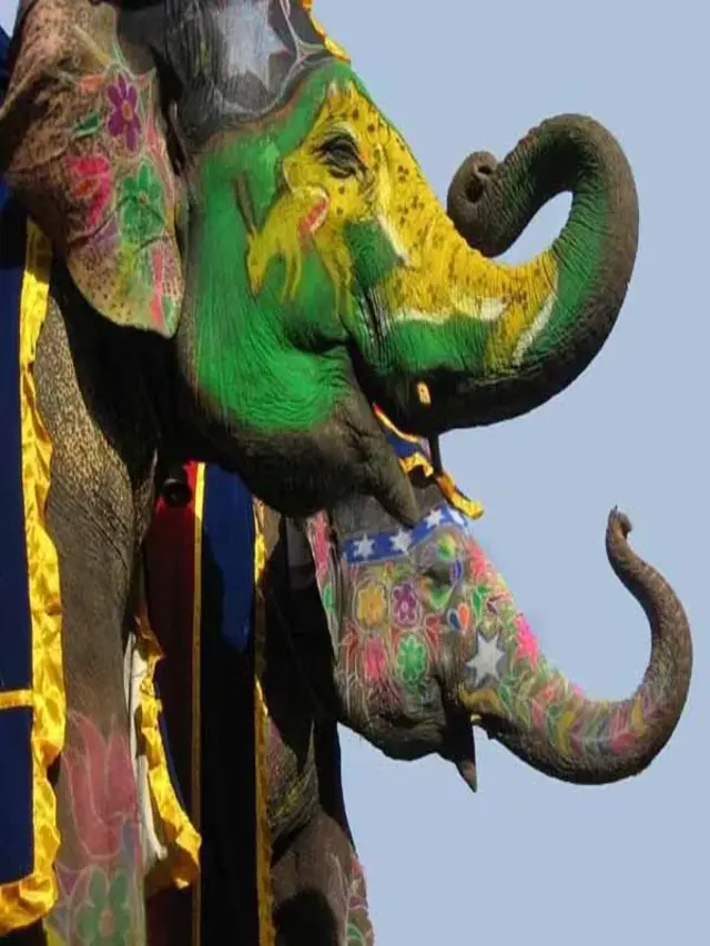 DISCOVER ELEPHANT FESTIVAL IN JAIPUR
