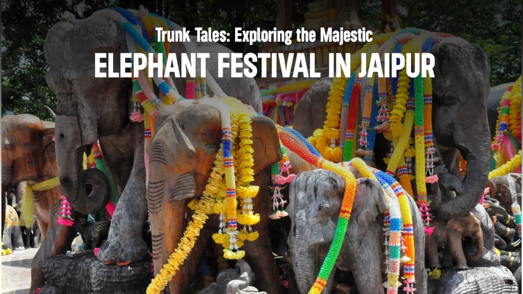 Elephant-Festival-in-Jaipur