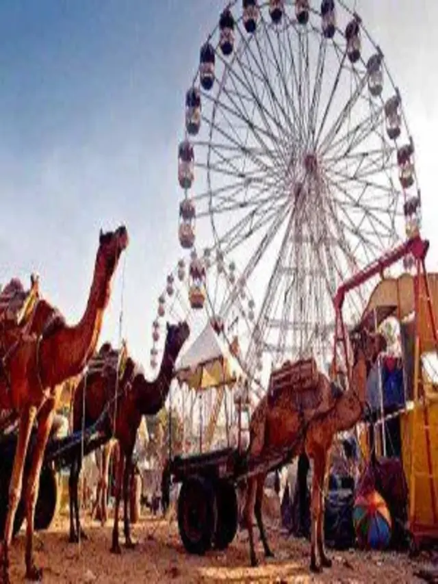Celebrating Heritage: The Mewar Festival Unfolds in Rajasthan