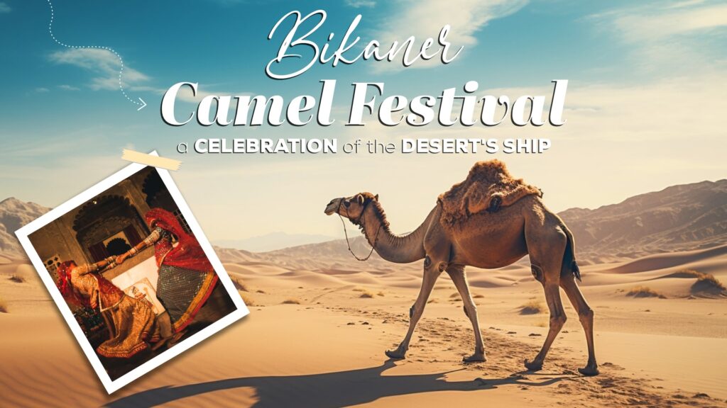 Bikaner Camel Festival